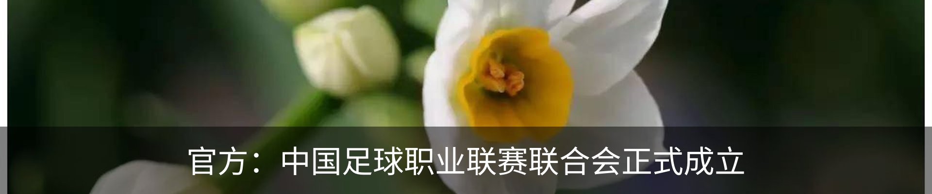 热点资讯